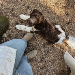 Pet Friendly Our on-site pet spa is ready for those muddy, happy returns to Rivette Tower.